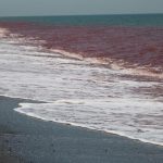 Strait of Hormuz: Gradual re-opening is no quick fix for developing nations, UN warns