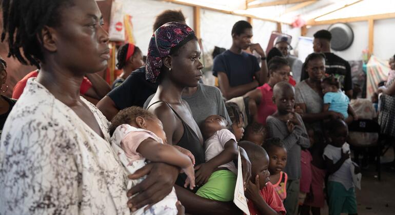 LIVE: Haiti endures violence and hunger, but hopes grow for a more secure future